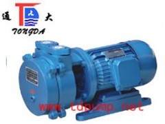 直联式水环式真空泵/变频供水设备/水泵厂/水泵型号
